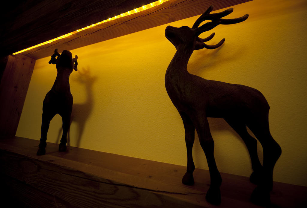 Pension Restaurant Dorfalm Leogang Kültér fotó